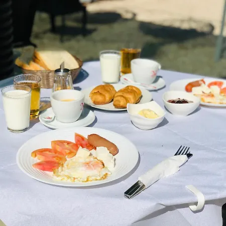 Sea Front ゲストハウス