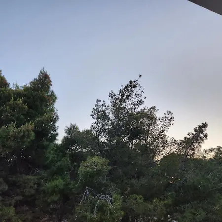 Sea Front ゲストハウス Vlorë